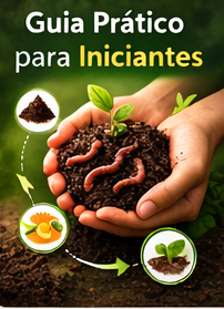 Guia Prático para Iniciantes - Ciclo